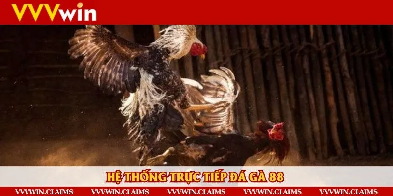 Các ưu điểm nổi bật của nền tảng