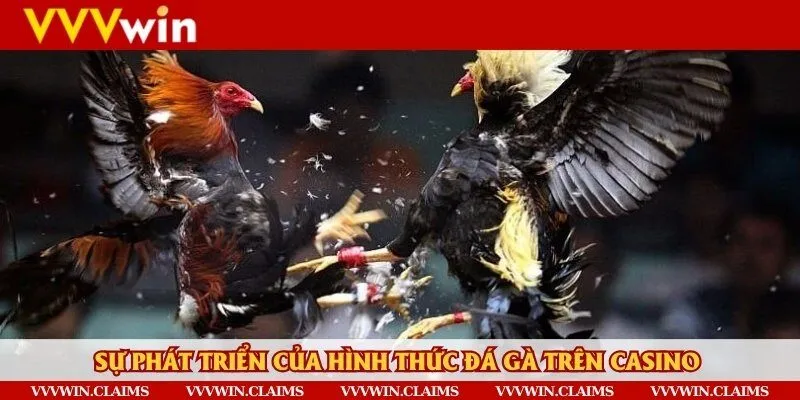 Hoàn toàn không thể phủ nhận sự phát triển của hình thức đá gà trên casino